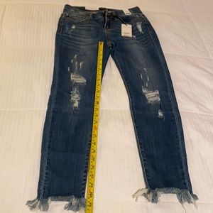 Judy Blue Peter Skinny Jean